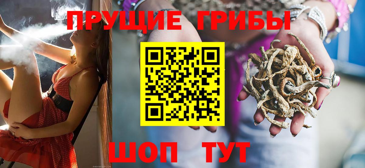 Псилоцибиновые грибы GOLDEN TEACHER Пыть-Ях